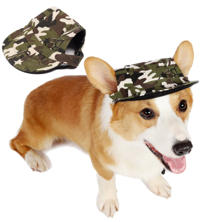 Breathable Summer Canvas Dog Hat for Outdoor Adventures