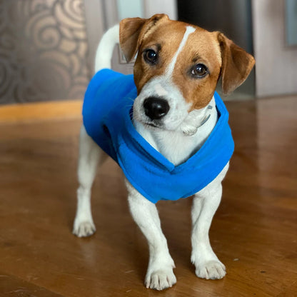 Winter Fleece Dog Jacket: Cozy & Stylish