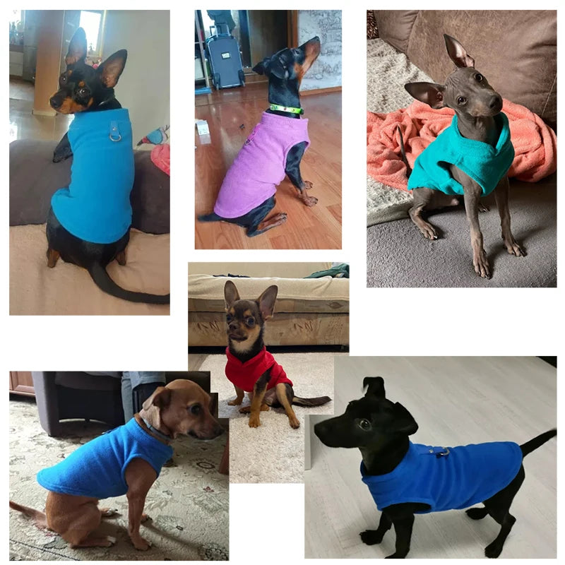 Winter Fleece Dog Jacket: Cozy & Stylish