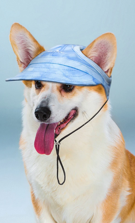 Breathable Summer Canvas Dog Hat for Outdoor Adventures